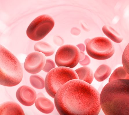 Red Blood Cell in an artery, Blood Flow, medical human health-care Concept Background, 3d rendering. Red Blood Cell in an artery, Blood Flow, medical human health-care Concept Background, 3d rendering.